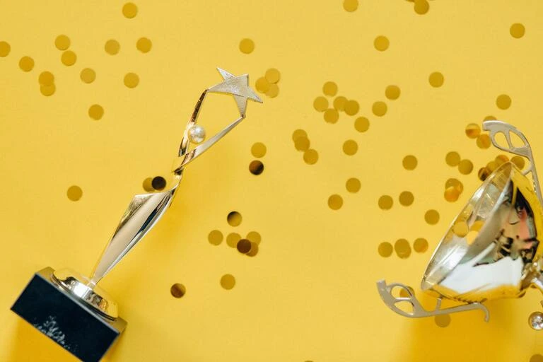 Award-winning SEO expert recognized for outstanding digital marketing strategies.